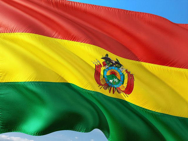 Bolivia informa en la ONU el retorno pleno de la democracia tras el golpe de Estado de 2019