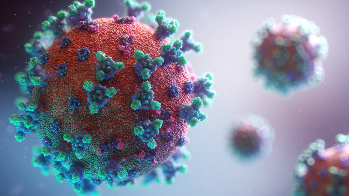 Así se ve el coronavirus en las células bronquiales humanas