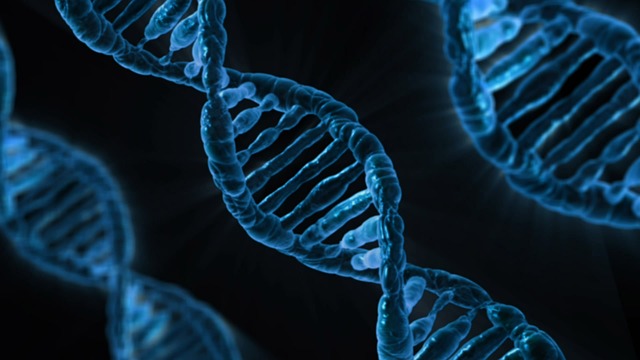 Genoma humano ayuda a impulsar investigación de COVID-19