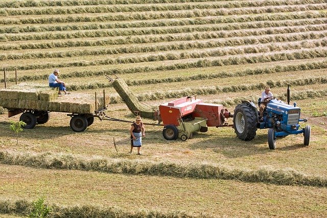 La estatización de las agroexportadoras argentinas