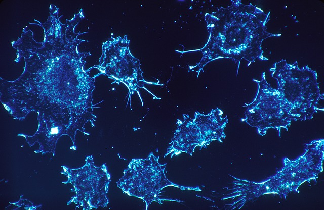 Científicos descubren qué causa el tipo de cáncer más peligroso