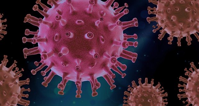 Bolivia: Posible rebrote del nuevo coronavirus