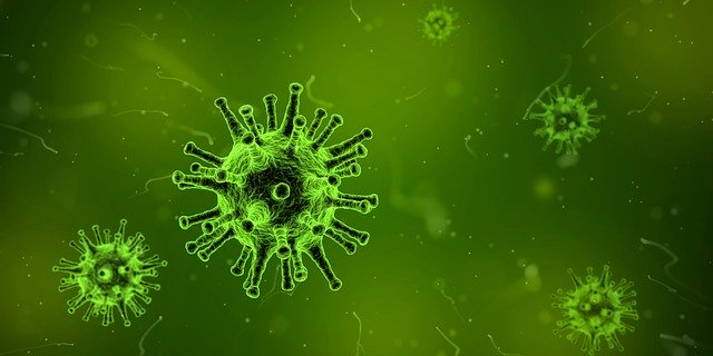 OMS: el coronavirus aún no tiene mutaciones que lo hagan más fuerte