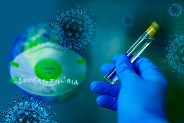 Identifican seis cepas del nuevo coronavirus en Brasil