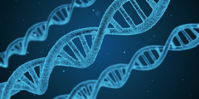 Científicos reconstruyen el genoma humano moderno