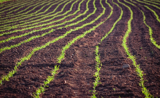 Gobierno interino presenta plan de reactivación de agroindustria en Bolivia