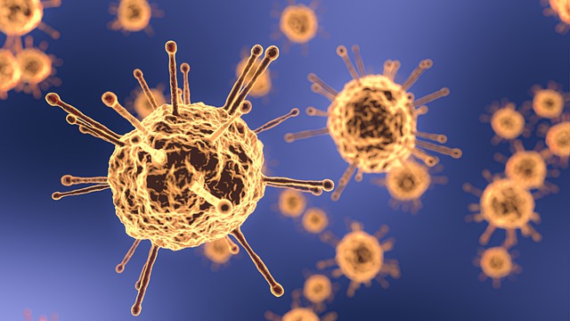 OMS: Coronavirus “ocurrió naturalmente”