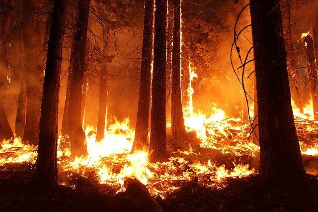 Registran 57 incendios forestales activos en todo el país