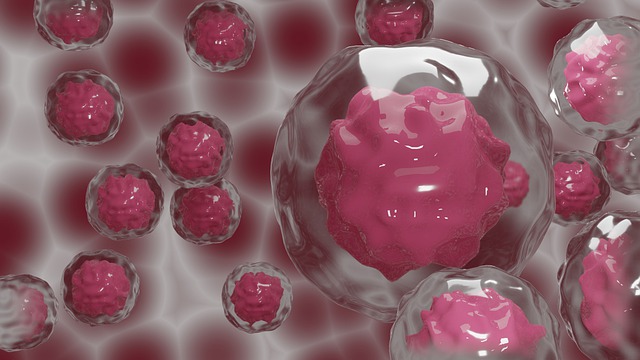 Las células madre pueden infectarse del SARS-CoV-2