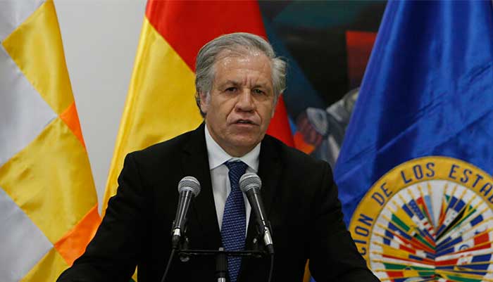Sec. General de la OEA ratifica que en 2019 hubo fraude en Bolivia