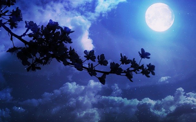 Luna Azul en la noche de Halloween, ¿qué es y cómo se puede ver?