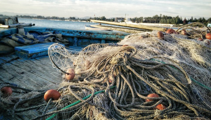 América Latina se convierte en presa de la pesca ilegal de China