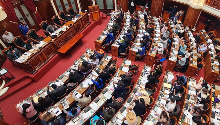 Diputados aprueba proyecto de ley para la realización de las elecciones subnacionales