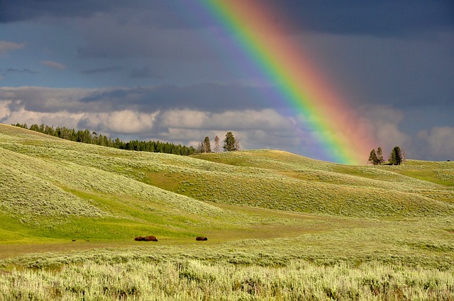 ¿Sabes cómo y cuándo observar un arcoíris?